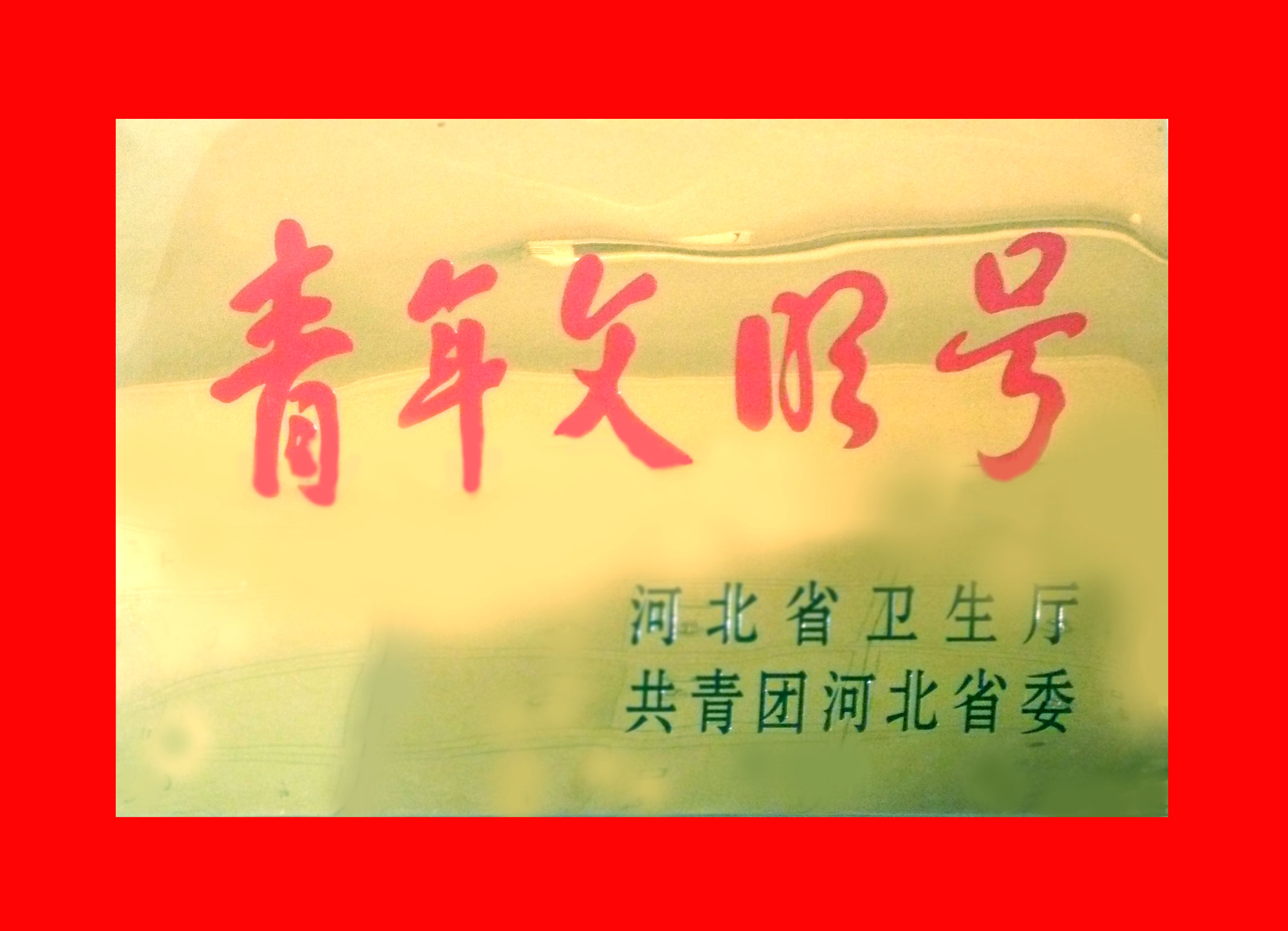 醫(yī)院榮譽(yù)